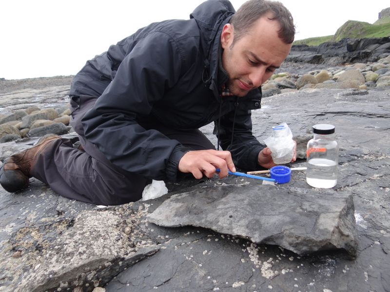 Steve Brusatte investigating dinosaur footprints at the Isle of Skye in Scotland.